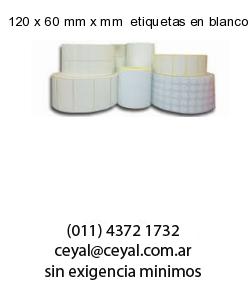 120 x 60 mm x mm  etiquetas en blanco