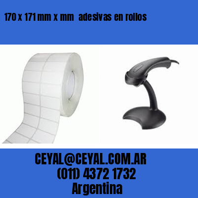 170 x 171 mm x mm  adesivas en rollos