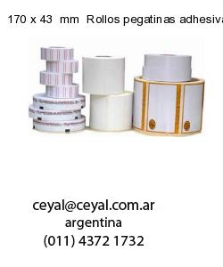 170 x 43  mm  Rollos pegatinas adhesivas