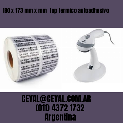 190 x 173 mm x mm  top termico autoadhesivo