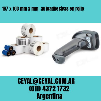 167 x 103 mm x mm  autoadhesivas en rollo