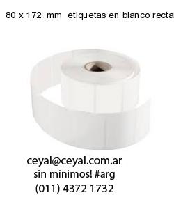 80 x 172  mm  etiquetas en blanco rectangulares