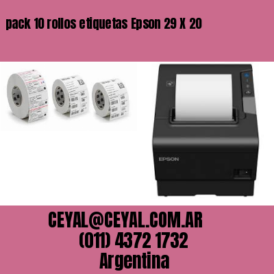 pack 10 rollos etiquetas Epson 29 X 20