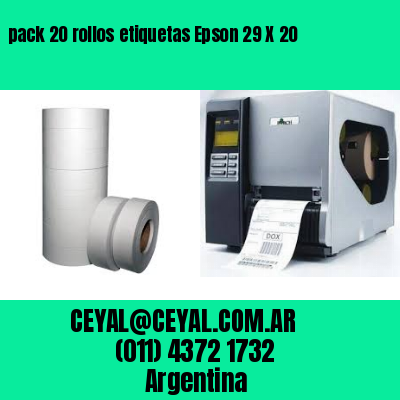 pack 20 rollos etiquetas Epson 29 X 20