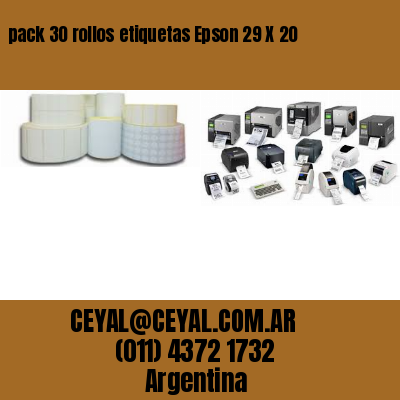 pack 30 rollos etiquetas Epson 29 X 20