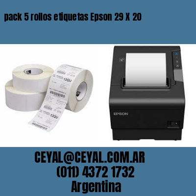 pack 5 rollos etiquetas Epson 29 X 20