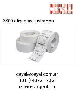 3800 etiquetas ilustracion