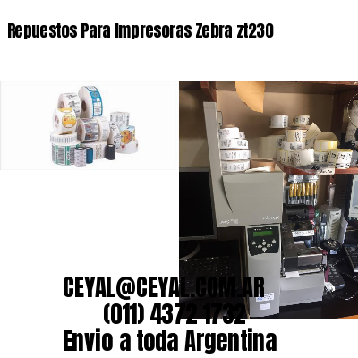 Repuestos Para Impresoras Zebra zt230