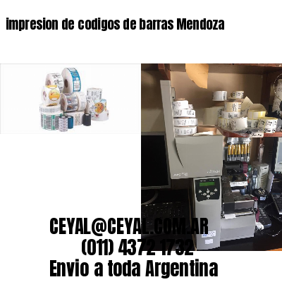 impresion de codigos de barras Mendoza