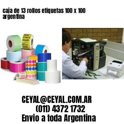 caja de 13 rollos etiquetas 100 x 100 argentina