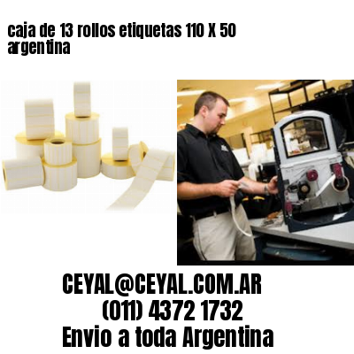 caja de 13 rollos etiquetas 110 X 50 argentina