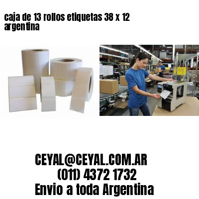 caja de 13 rollos etiquetas 38 x 12 argentina