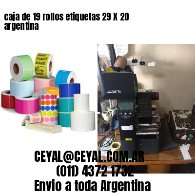 caja de 19 rollos etiquetas 29 X 20 argentina