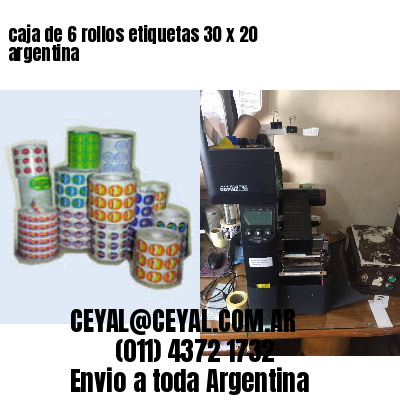 caja de 6 rollos etiquetas 30 x 20 argentina