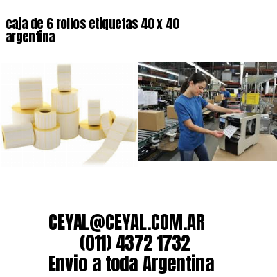caja de 6 rollos etiquetas 40 x 40 argentina