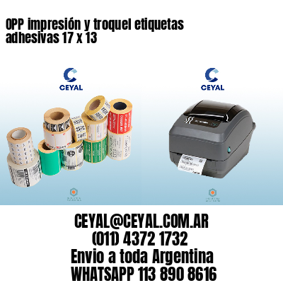 OPP impresión y troquel etiquetas adhesivas 17 x 13