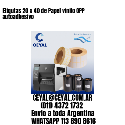 Etiqutas 20 x 40 de Papel vinilo OPP autoadhesivo
