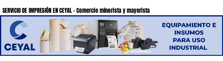 SERVICIO DE IMPRESIÓN EN CEYAL - Comercio minorista y mayorista