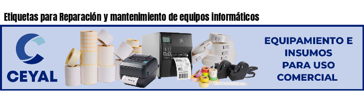 Etiquetas para Reparación y mantenimiento de equipos informáticos