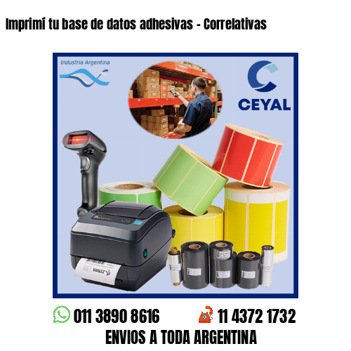 Imprimí tu base de datos adhesivas – Correlativas