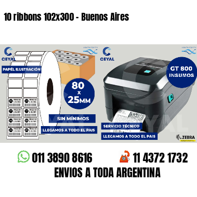10 ribbons 102x300 - Buenos Aires