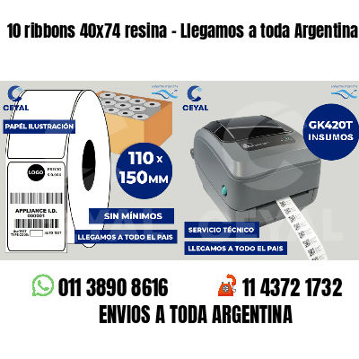10 ribbons 40x74 resina - Llegamos a toda Argentina