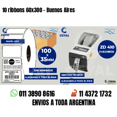 10 ribbons 60x300 - Buenos Aires