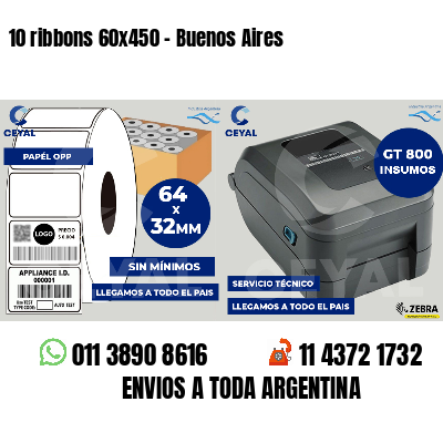 10 ribbons 60x450 - Buenos Aires