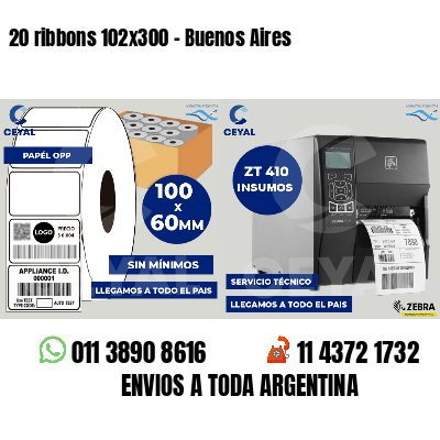 20 ribbons 102x300 - Buenos Aires