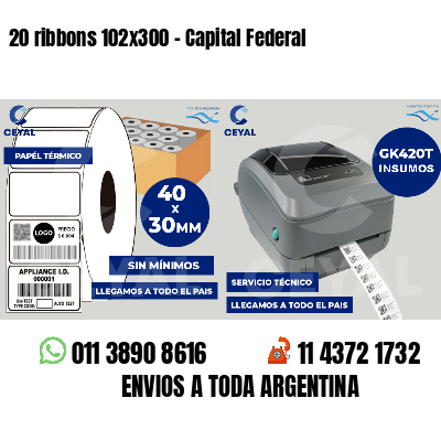 20 ribbons 102x300 - Capital Federal