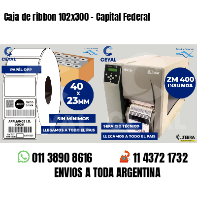 Caja de ribbon 102x300 - Capital Federal