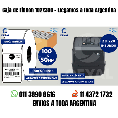 Caja de ribbon 102x300 - Llegamos a toda Argentina