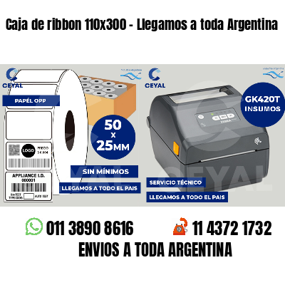 Caja de ribbon 110x300 - Llegamos a toda Argentina