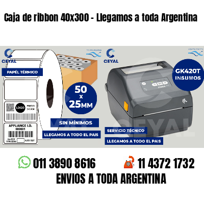 Caja de ribbon 40x300 - Llegamos a toda Argentina