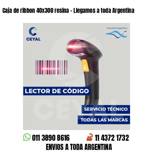 Caja de ribbon 40x300 resina - Llegamos a toda Argentina