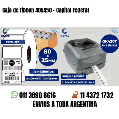 Caja de ribbon 40x450 - Capital Federal