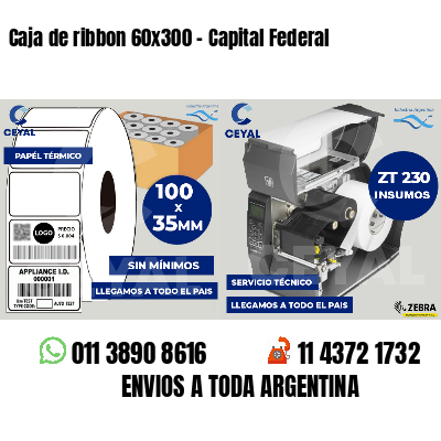 Caja de ribbon 60x300 - Capital Federal