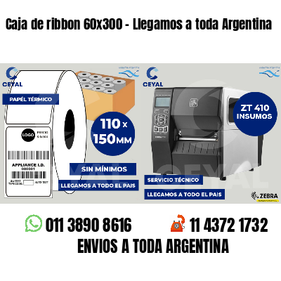 Caja de ribbon 60x300 - Llegamos a toda Argentina