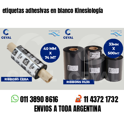etiquetas adhesivas en blanco Kinesiología