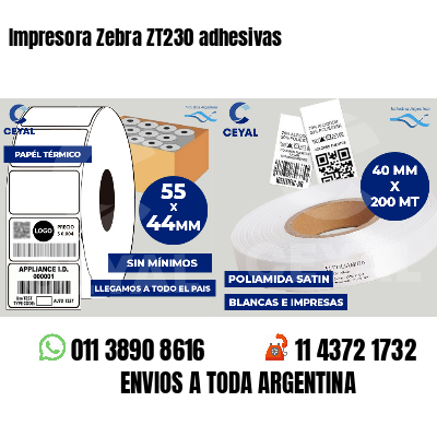Impresora Zebra ZT230 adhesivas