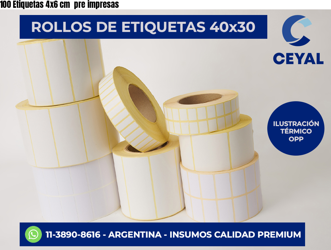 100 Etiquetas 4×6 cm  pre impresas