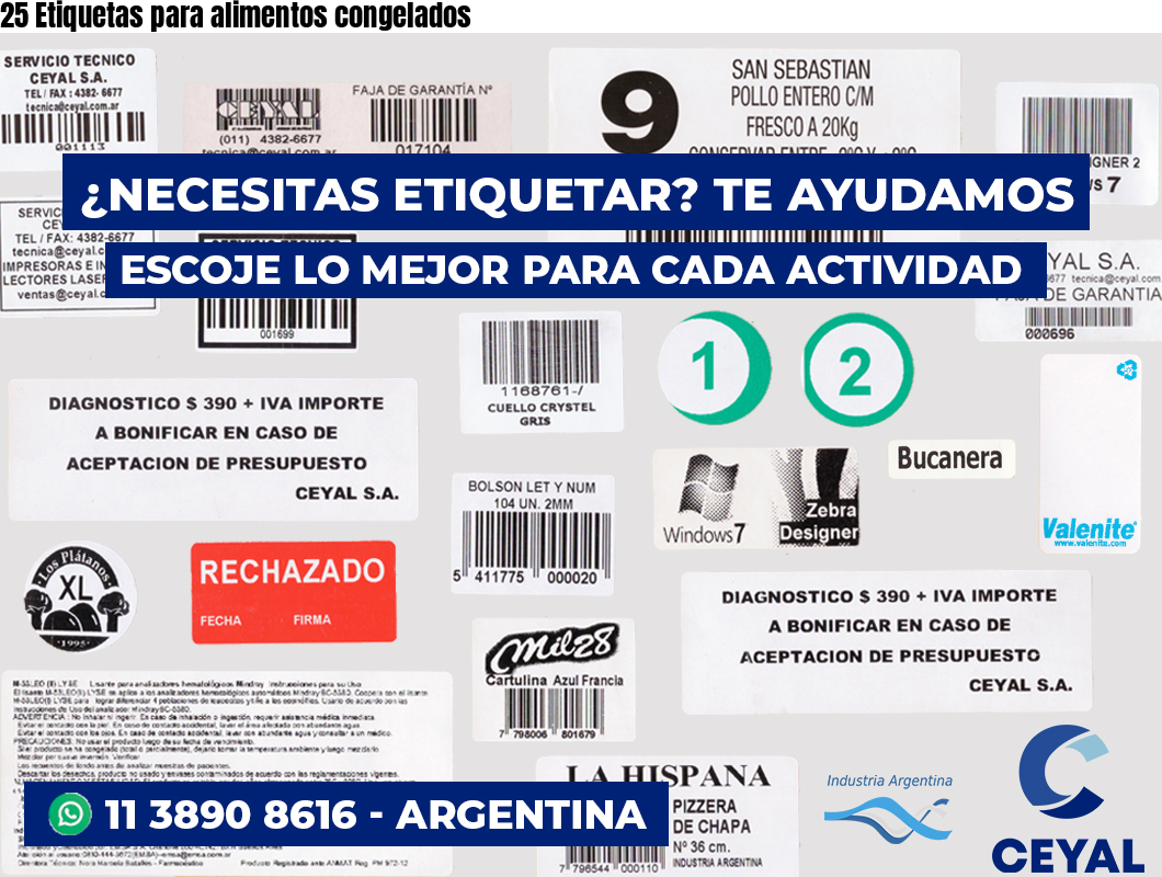 25 Etiquetas para alimentos congelados