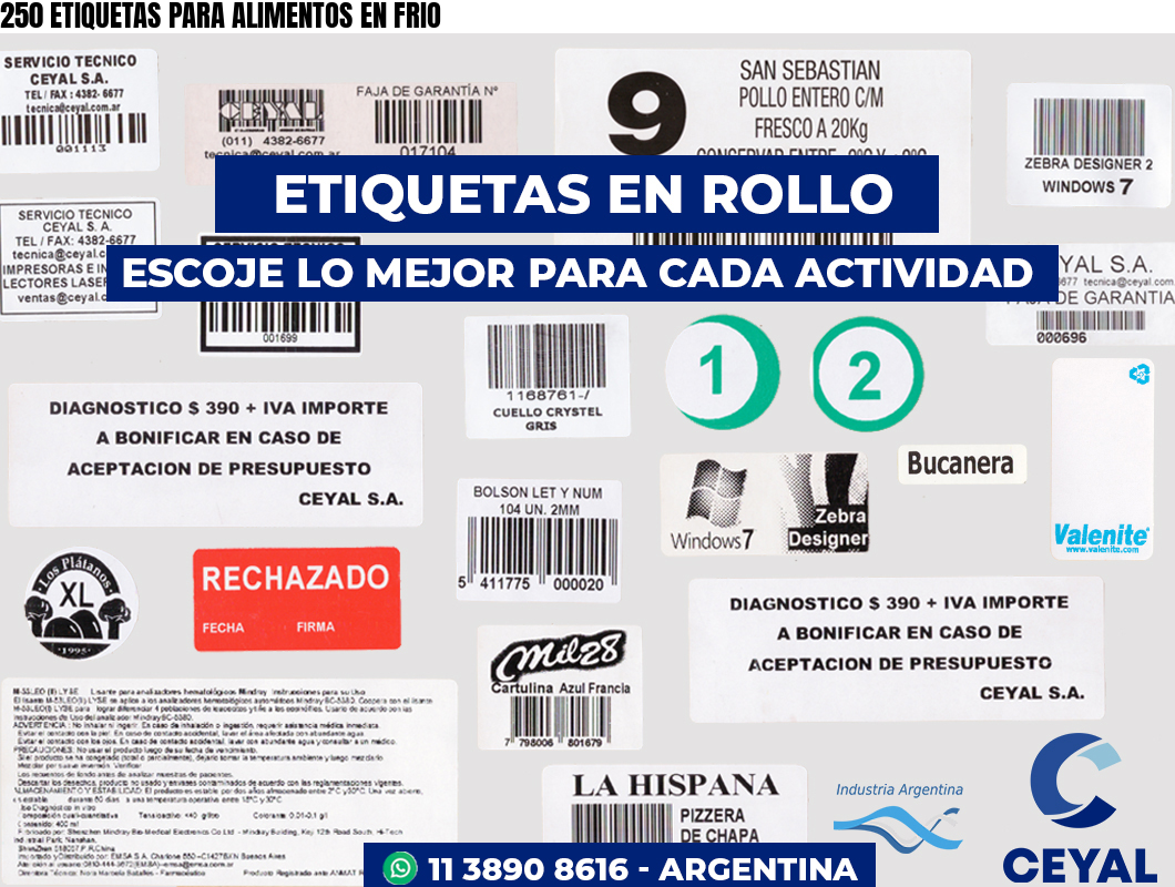 250 ETIQUETAS PARA ALIMENTOS EN FRIO