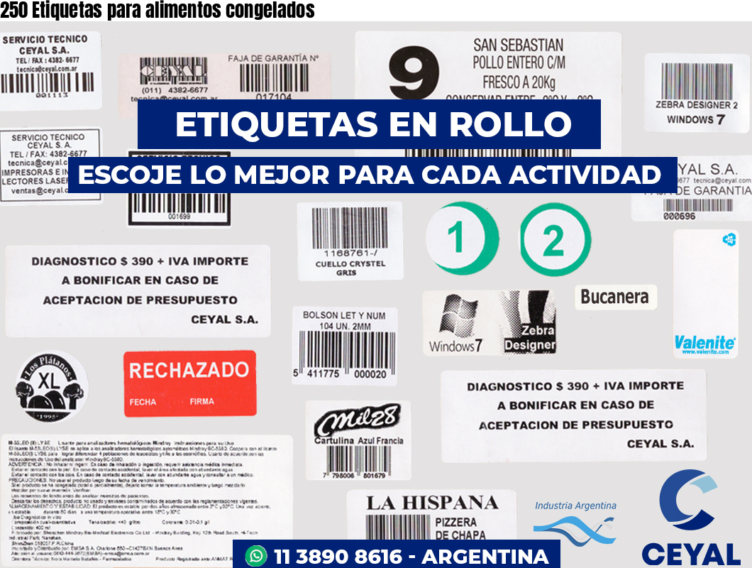 250 Etiquetas para alimentos congelados