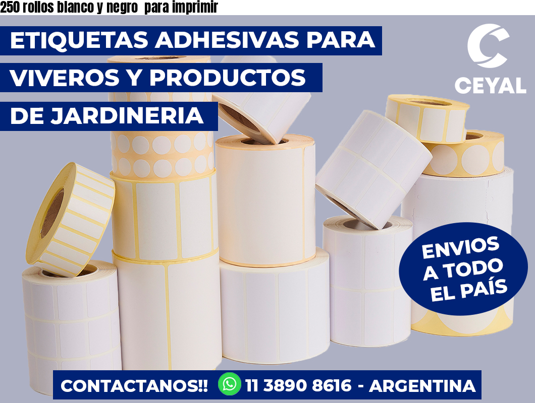 250 rollos blanco y negro  para imprimir