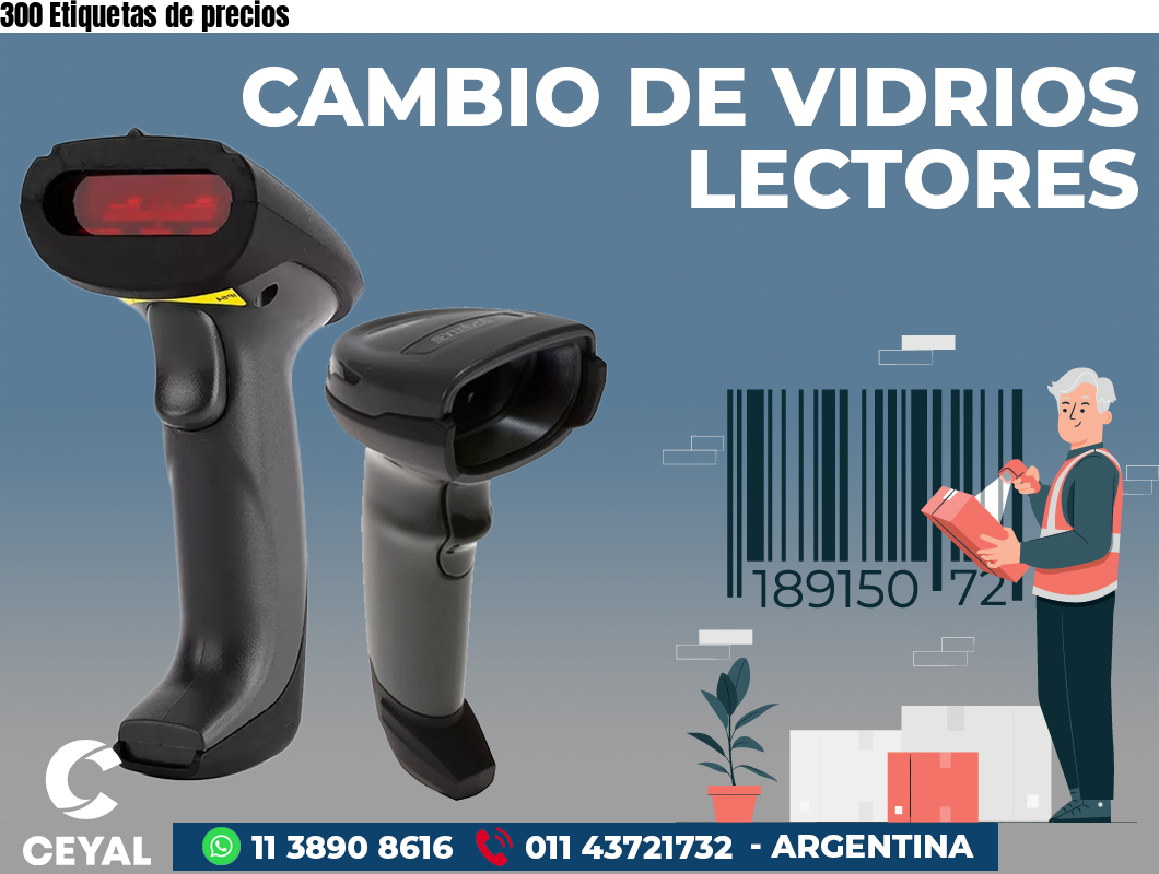 300 Etiquetas de precios