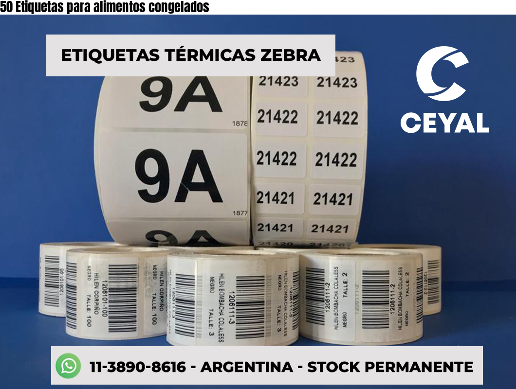 50 Etiquetas para alimentos congelados