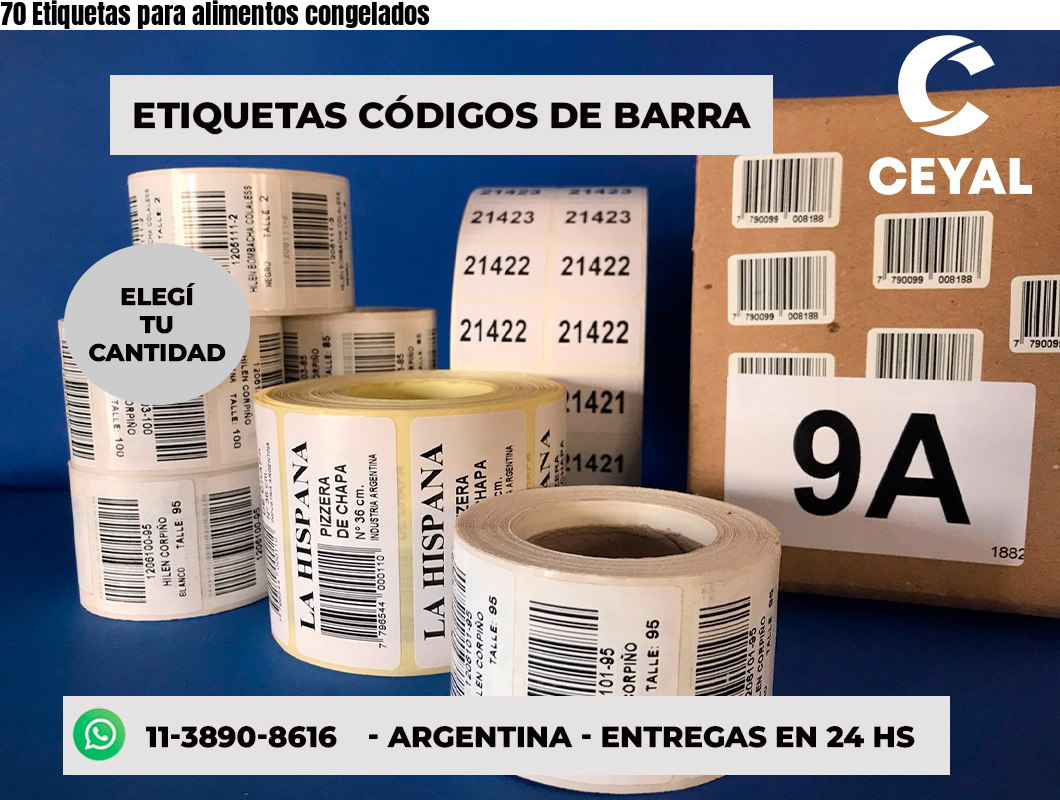70 Etiquetas para alimentos congelados