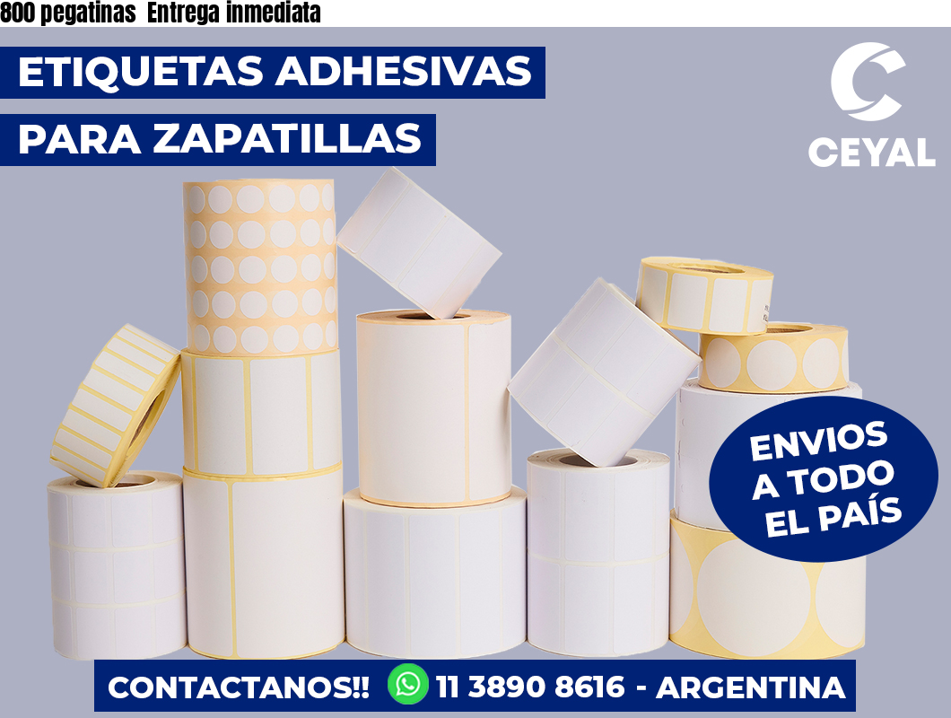 800 pegatinas  Entrega inmediata