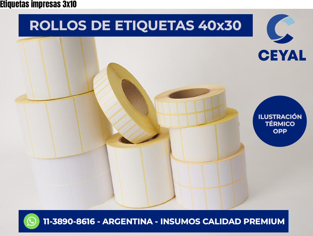 Etiquetas impresas 3×10